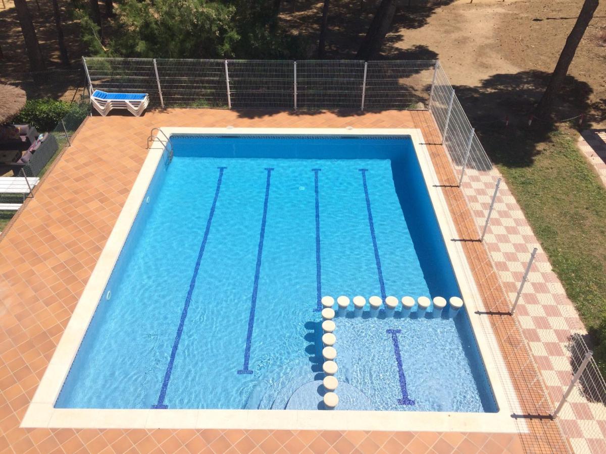 Trill Mirasol D Primera Linea Mar أولاستارتيت المظهر الخارجي الصورة